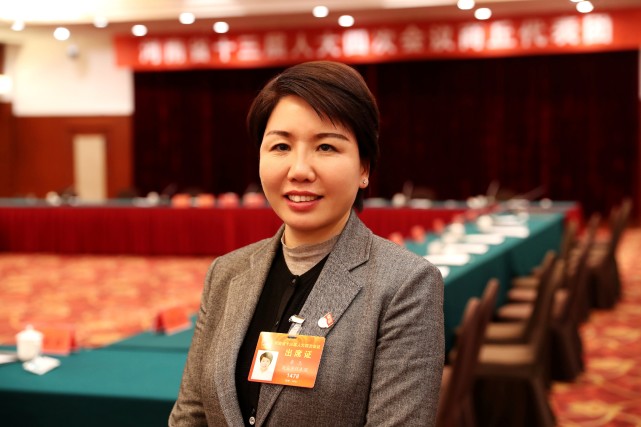 河南兩會丨鄉(xiāng)村旅游缺乏地方指導(dǎo)性文件，怎么破？省人大代表魯玉提出建議